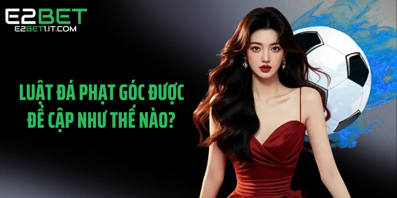 luat-da-phat-goc-duoc-de-cap-nhu-the-nao