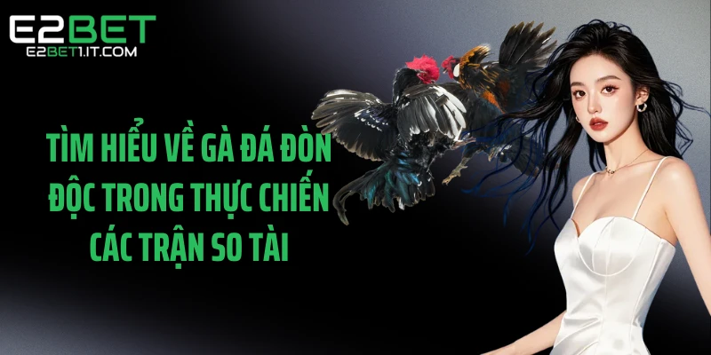 tim-hieu-ve-ga-da-don-doc-trong-thuc-chien-cac-tran-so-tai